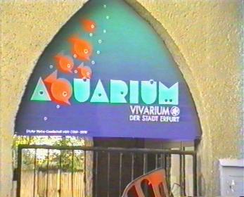 Das Aquarium in Erfurt