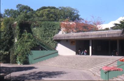 Das Aquarium im Allwetterzoo von Mnster